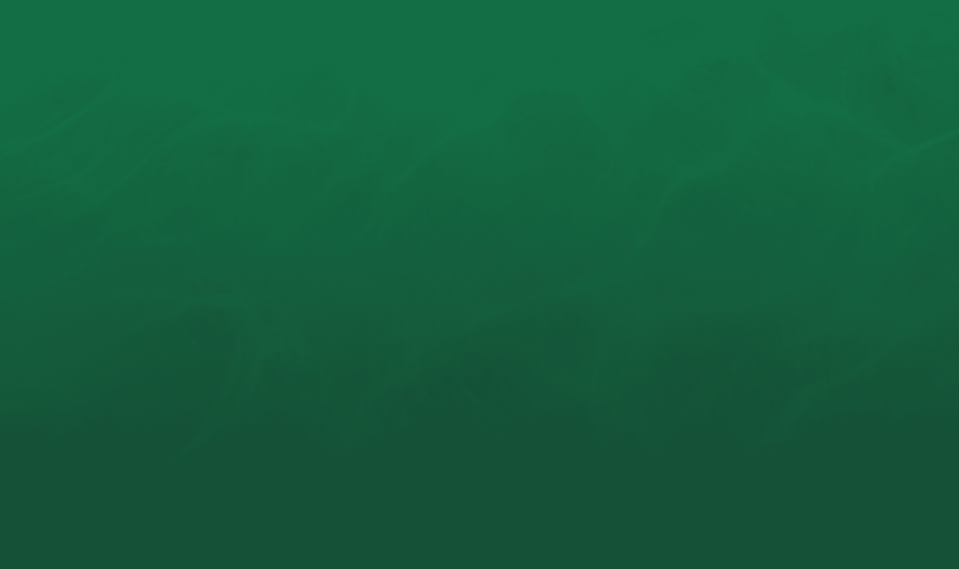  The oasis riverside bg