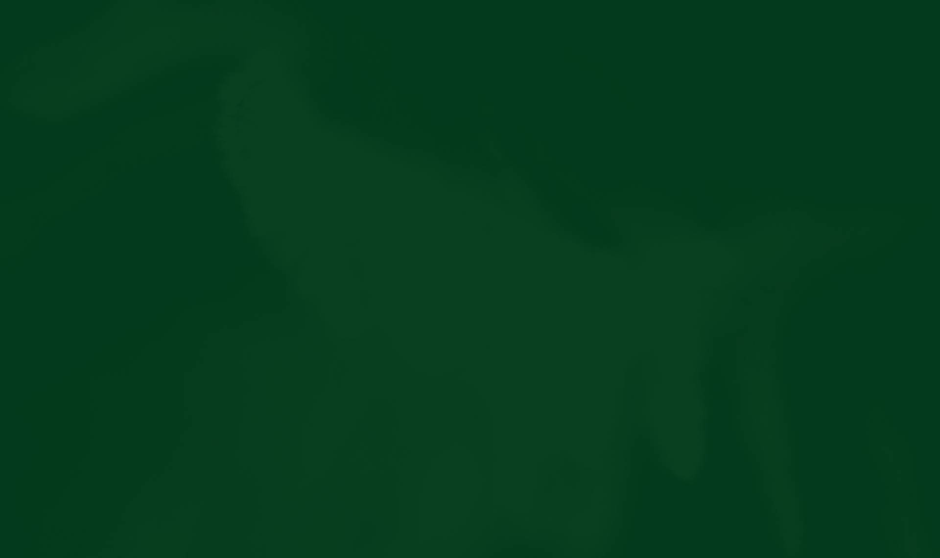   oasis riverside noi that